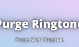 Purge Ringtone Download