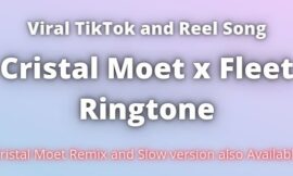 Crystal Moet X Fleet Ringtone Download for Free.