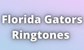Florida Gators Ringtones Download for free.