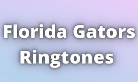 Florida Gators Ringtones Download for free.