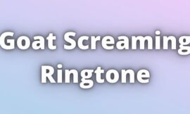 Goat Screaming Ringtone