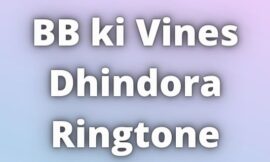 BB ki Vines Dhindora Ringtone Download