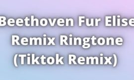 Beethoven Fur Elise Remix Ringtone Download