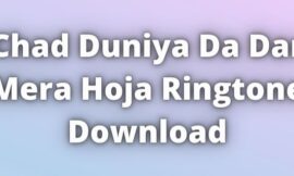 Chad Duniya Da Dar Mera Hoja Ringtone