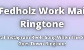 Fedholz Work Mai Ringtone Download