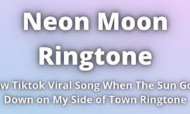 Neon Moon Ringtone Download TikTok Remix