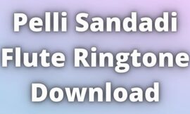 Pelli Sandadi Flute Ringtone Download