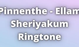 Pinnenthe Ellam Sheriyakum Ringtone Download