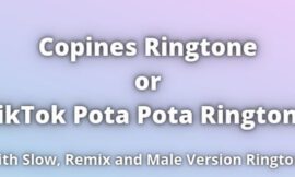 Copines Ringtone Download