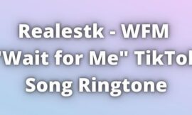 Wait for Me Tiktok Song Ringtone Download