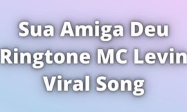 Sua Amiga Deu Ringtone MC Levin Viral Song