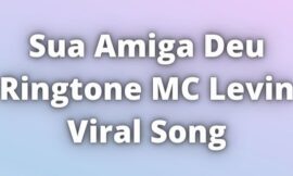 Sua Amiga Deu Ringtone MC Levin Viral Song
