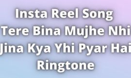 Reel Song Tere Bina Mujhe Nhi Jina Kya Yhi Pyar Hai Ringtone