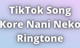 TikTok Song Kore Nani Neko Ringtone Download