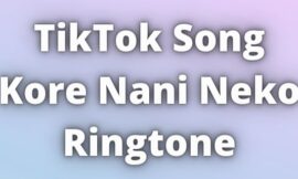 TikTok Song Kore Nani Neko Ringtone Download