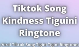 Tiktok Song Kindness Tiguini Ringtone Download