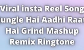 Jungle Hai Aadhi Raat Hai Grind Remix Ringtone