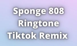 Sponge 808 Ringtone Download