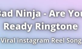 Bad Ninja Are You Ready Ringtone Download