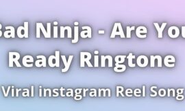 Bad Ninja Are You Ready Ringtone Download
