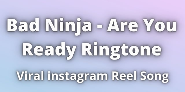 You are currently viewing Bad Ninja Are You Ready Ringtone Download