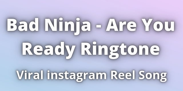 Read more about the article Bad Ninja Are You Ready Ringtone Download