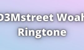 D3Mstreet Woah Ringtone Download