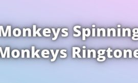 Monkeys Spinning Monkeys Ringtone Download