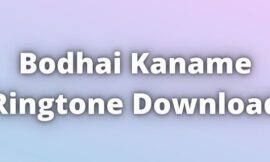 Bodhai Kaname Ringtone Download