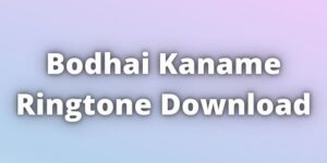Best Cradles Ringtone Download 21 Remix Female Version Best Cradles Ringtone Download 21 Remix Female Version