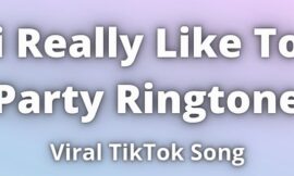 i Really Like To Party Ringtone Download