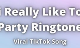i Really Like To Party Ringtone Download