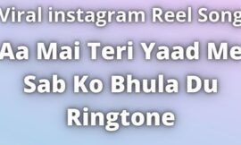 Aa Mai Teri Yaad Me Sab Ko Bhula Du Ringtone