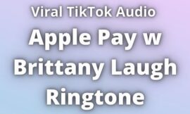 Apple Pay w Brittany Laugh Ringtone Download