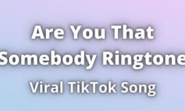 Are You That Somebody Ringtone Download
