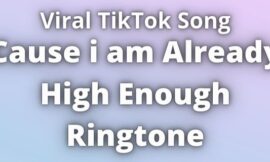 Cause i am Already High Enough Ringtone