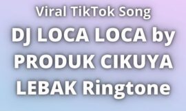 DJ LOCA LOCA by PRODUK CIKUYA LEBAK Ringtone