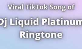Dj Liquid Platinum Ringtone