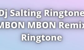 Dj Salting Ringtone MBON MBON Remix Ringtone