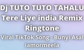 Dj TUTO TUTO TAHALU Tere Liye Ringtone Remix