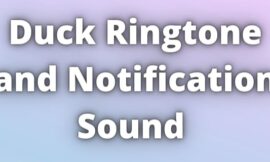 Duck Ringtone Download with Duck Massage Tone