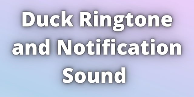 You are currently viewing Duck Ringtone Download with Duck Massage Tone