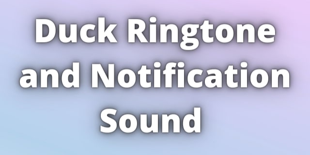 You are currently viewing Duck Ringtone Download with Duck Massage Tone