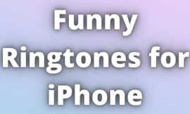 Funny Ringtones for iPhone