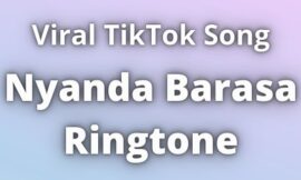 Nyanda Barasa Ringtone Download