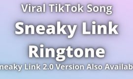Sneaky Link Ringtone Download