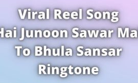 Hai Junoon Sawar Mai To Bhul Sansar Ringtone
