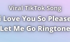 i Love You So Please Let Me Go Ringtone Download