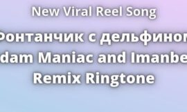 Фонтанчик с дельфином Adam Maniac and Imanbek Remix Ringtone