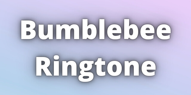 Read more about the article Bumblebee Ringtone Download